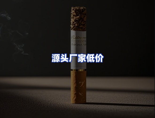 专业团队